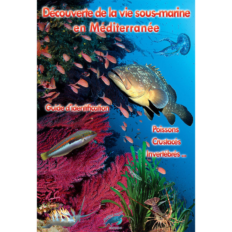 Livre Découverte Vie Sous-Marine - Océan Indien Et Mer Rouge