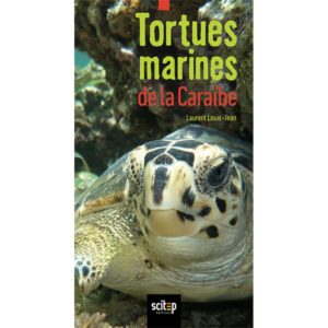 tortues_marines_caraibes_laurent_louis_jean_recto