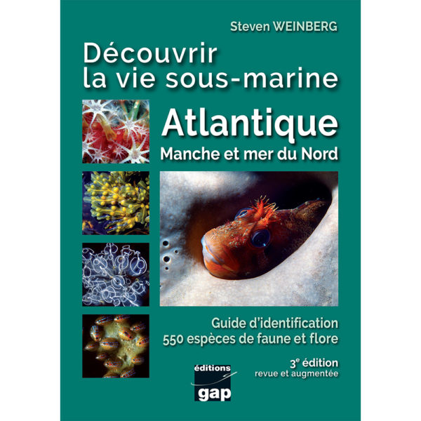 decouvrir-la-vie-sous-marine-atlantique-manche-et-mer-du-nord-3eme-edition-recto