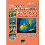 decouvrir-la-vie-sous-marine-mer-des-caraibes-atlantique-tropical-steven-weinberg-recto