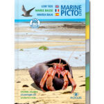 pictolife-atlantique-est-maree-basse-recto