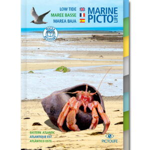 pictolife-atlantique-est-maree-basse-recto