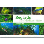 regards-sur-la-mediterranee-abecedaire-des-herbiers-de-posidonie-recto